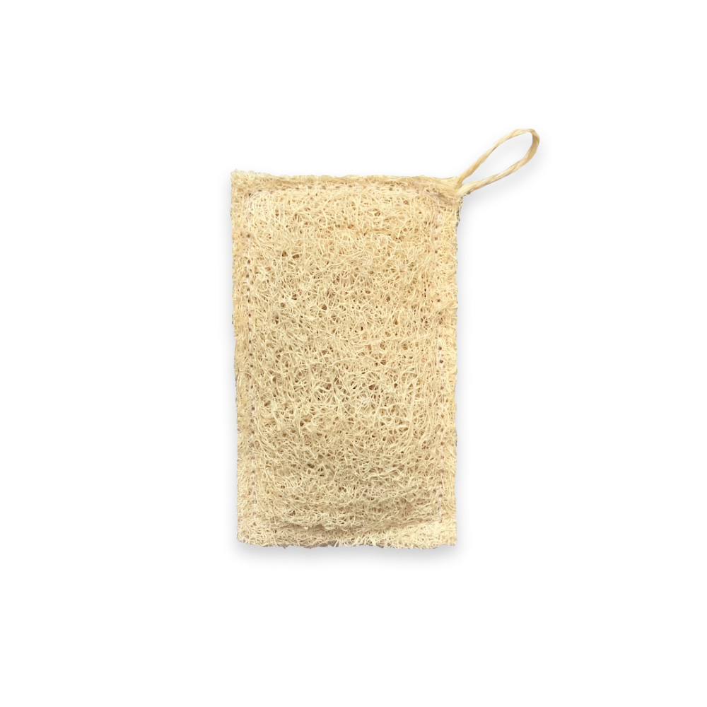 Luffa