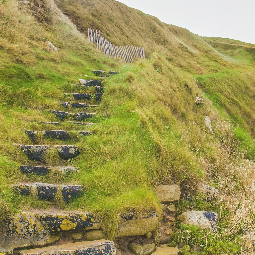 Ekološka sprememba ni popolnost, ampak odločitev – korak za korakom
