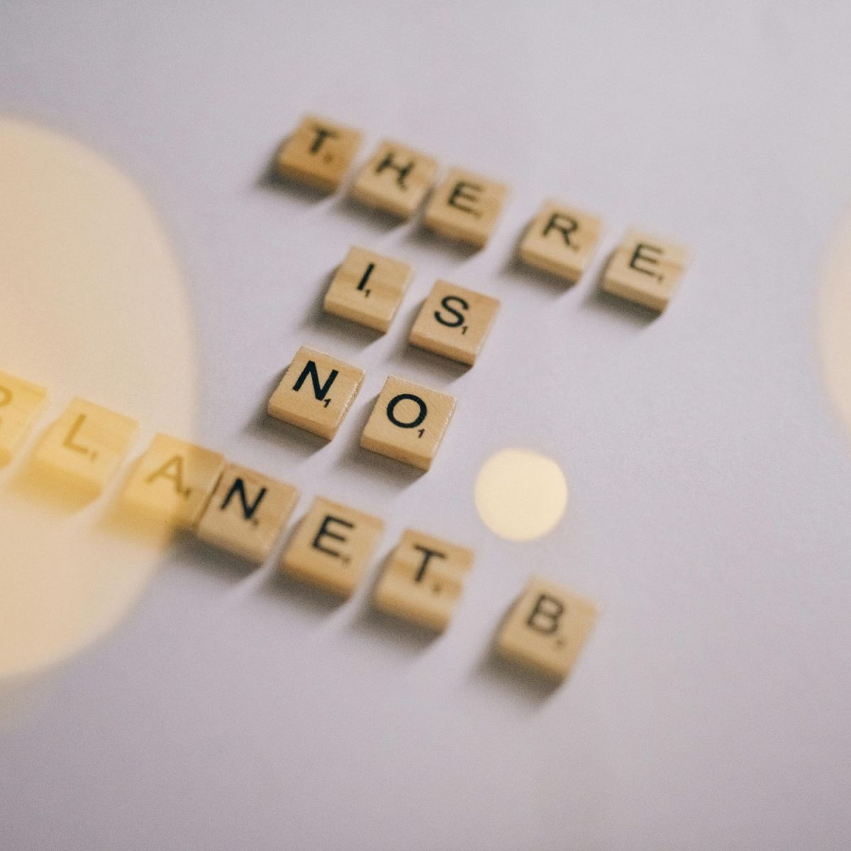 Kako bi izgledal planet, če bi vsak doma imel samo tisto, kar potrebuje