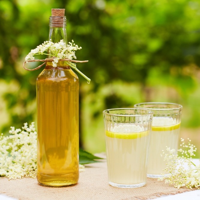 Babčin bezgov sirup z meto in meliso